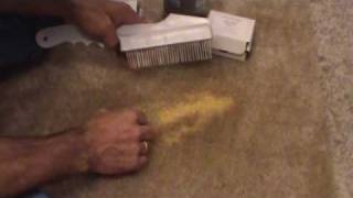 Carpet dye videopart1 of 2 parts Spot removerdye carpet spot cleaner [upl. by Ynttirb]