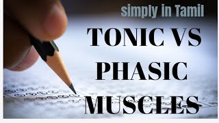 Tonic muscles and phasic muscles  Tamil explanation muscles similarities similar muscle [upl. by Scrivens]