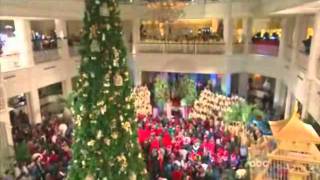 Celine Dion christmas songs high noteswmv [upl. by Giavani]