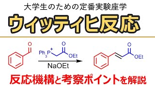 【大学実験解説】ウィッティヒ反応Wittig Reaction 反応機構と立体選択性【有機化学】 [upl. by Izzy75]