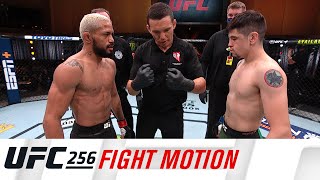 UFC 256 Fight Motion [upl. by Gnel957]