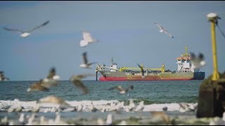 Boskalis beach replenishment Heemskerk Netherlands [upl. by Alenas712]