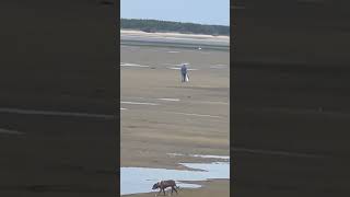 Clamming netartsbay OregonFishing where to clam in oregon [upl. by Pierre]