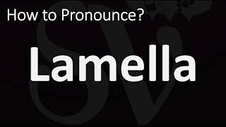 How to Pronounce Lamella CORRECTLY [upl. by Leivad61]