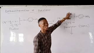 Biotransformation of Parathion [upl. by Hortensa]