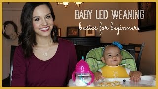 Baby Led Weaning  Basics for Beginners [upl. by Yrohcaz]