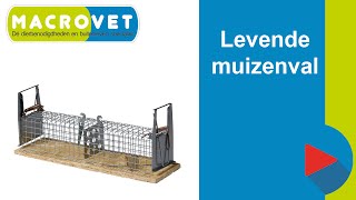 Levende muizenval  Draadkistenval voor het levend vangen van muizen [upl. by Mayfield]