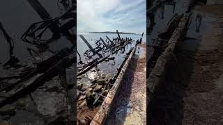 Shipwreck on the strip of beach on the northeast side of Cuttyhunk 22 [upl. by Nhguavad967]