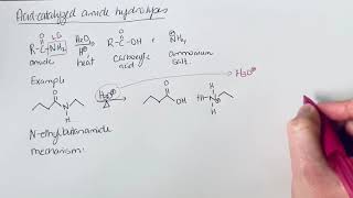 Acidic Amide Hydrolysis [upl. by Raouf943]