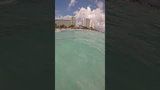 Cancun Snorkeling Faceoff Best Spots vs Hidden Gems [upl. by Isaacson]