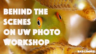 Behind the scenes at Alex Tattersall’s UW Photo Workshop at NAD Lembeh [upl. by Zora]