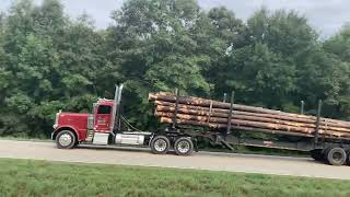 Freightliner Cascadia Peterbilt 389 day cab logging truck KW T680 next gen Marten Transport [upl. by Annoirb]