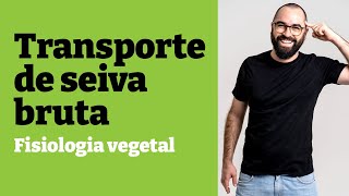 Transporte de seiva bruta SIMPLES  Fisiologia vegetal  Aula 24  Botânica  Prof Gui [upl. by So222]