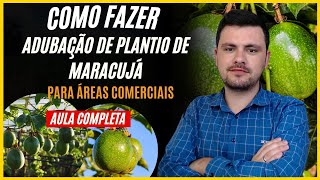 Como fazer ADUBAÇÃO DE PLANTIO E FORMAÇÃO de Maracujá Aula Completa [upl. by Pennie]