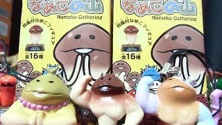 Nameko Gathering 海洋堂特産品なめこの山 「マッスルなめこを狙え！アゲイン☆」 PART2 食玩 開封動画 [upl. by Essy]