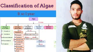 Classification of Algae [upl. by Olathe140]