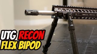 Budget 308 AR 10 UTG Recon Bipod [upl. by Linsk]