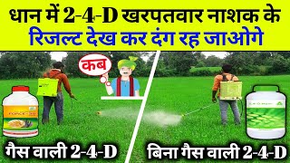 Paddy 24D herbicide  ethyl Ester 38  dimethyl amine salt 58  2 4 D  खरपतवार नाशक [upl. by Ziom]