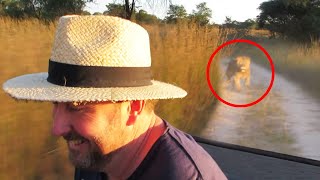 30 Times African Safari Trips Went Horribly Wrong [upl. by Elyrehc643]