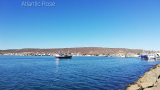 Atlantic Rose  St Helena Bay [upl. by Seitz]