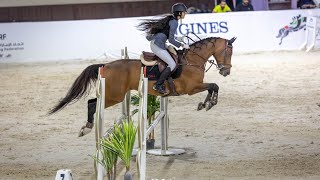 Show Jumping Competition  NATIONAL [upl. by Stew]