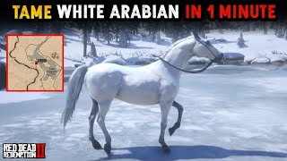 HOW TO TAME RARE WHITE ARABIAN HORSE IN LESS THAN A MINUTE  RDR2 [upl. by Ididn904]