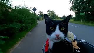 Mit MrWhiskers die Probsteier Korntage 2024 besuchen  EBike Radtour Part 910 [upl. by Demetre]