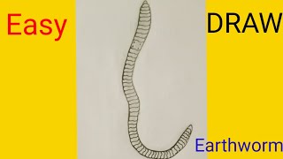 Easy earthworm draw shorts aatreescienceart science drawing [upl. by Imac971]