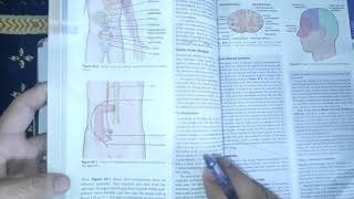 physiology guyton 49 visceral parietal and Referred painclinicals of painneurophysiologymbbs [upl. by Obelia734]