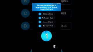 Ear ossicles attached to tympanum and oval window respectively are [upl. by Reinertson]