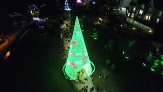 Blachere Illumination Bournemouth tree from the air [upl. by Leemaj]