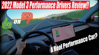 Is The 2022 Tesla Model 3 Performance Really Worth It [upl. by Nosidam]