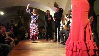 Flamenco at Tablao Cordobés Las Ramblas Barcelona [upl. by Gemoets]