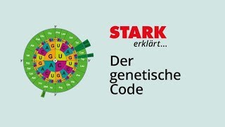 Der Genetische Code  STARK erklärt [upl. by Eerak]