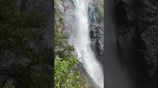 Ellenborough Falls NSW you must visit 🥹🥹🥹 waterfalls travel travelnsw [upl. by Joseito]