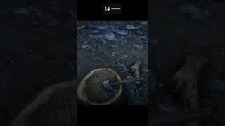 RARE Hewing Hatchet RDR2 rdr2gameplay rdr2 pcgaming weapons location walkthrough [upl. by Addy]