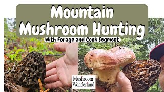 Mountain Mushroom Hunting Morels and Porcini Forage and cook [upl. by Aerua444]