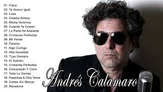 Andres Calamaro Grandes Exitos Enganchados  Andres Calamaro Live Full Concert [upl. by Salangi653]