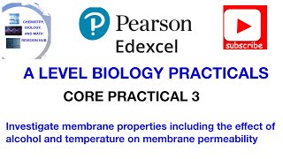 Membrane permeability  Alcohol and temperature  Core practical 3 [upl. by Aspa]