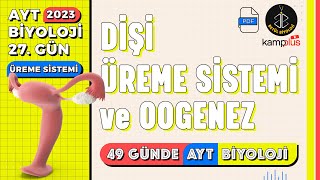 27 Dişi Üreme Sistemi ve Oogenez  Üreme Sistemi 11 Sınıf  2023 AYT Biyoloji Kampı 27 Gün [upl. by Eneles365]