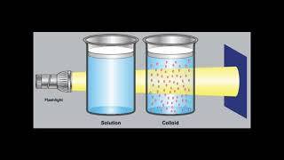 Lec 2  COLLOIDS Introduction شرح بالعربي [upl. by Tabbie]