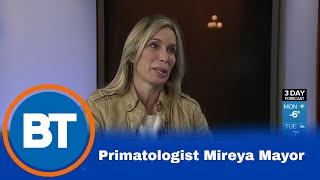 Primatologist Mireya Mayor [upl. by Occir]