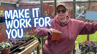 Get The Most Out Of Your Small Greenhouse With My Tips [upl. by Ashton]