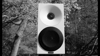 Review The Amphion Helium 410 Loudspeaker [upl. by Willtrude]