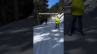 Spring Skiing at Whistler Blackcomb [upl. by Atinek]