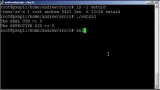 Linux Permissions and using C programming to understand the SUID bit on the Raspberry Pi [upl. by Cheyney]