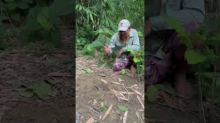 Rat as Food Traditional Survival Skills 1 rat food traditional [upl. by Nollek263]