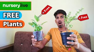 Nurserylive Free Plants  Nurserylive plants review  Nurserylive coupon code [upl. by Crissie]