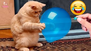 Best Funny Animals 2024 😂 Funniest Dogs and Cats Videos 😻🐶 part 65 [upl. by Assiralc]