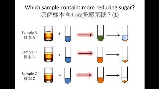 SBA DSE Bio Glucose test strip Clinistix Paper 尿糖試紙 Iodine test 碘液測試 Benedict’s test 本立德測試 [upl. by Glasgo]